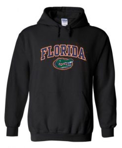 florida gators hoodie